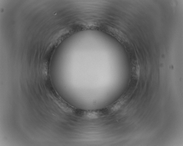X0000076230710200610122115