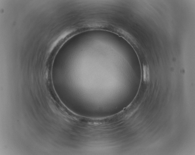 X0000076230723200610122114