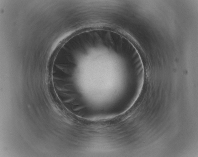 X0000076230724200610122114