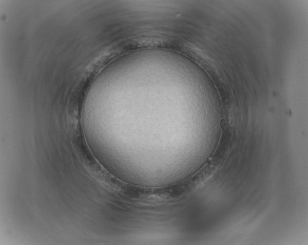 X0000076230737200610122114
