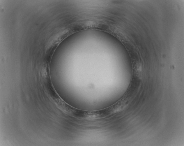 X0000076230746200610122114