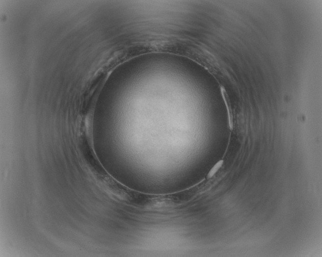 X0000076230750200610122114