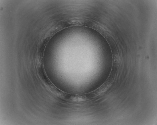 X0000076230751200610122114