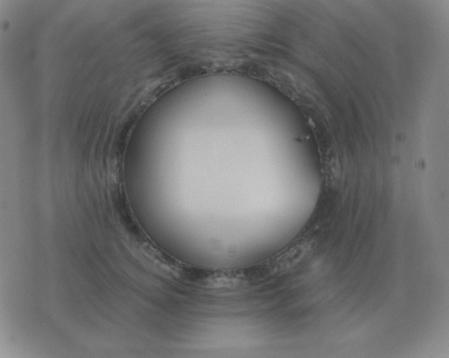 X0000076230756200610122114