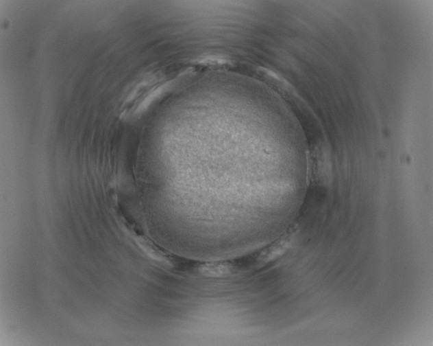 X0000076230762200610122115