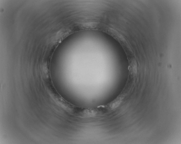 X0000076230764200610122115