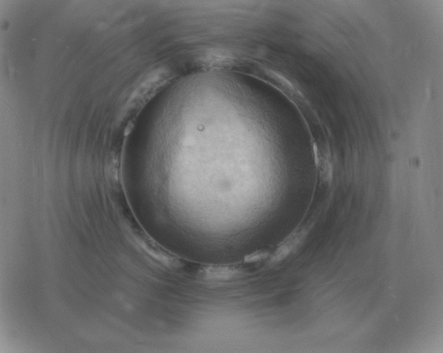 X0000076230766200610122115