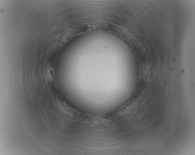 X0000076230770200610122114