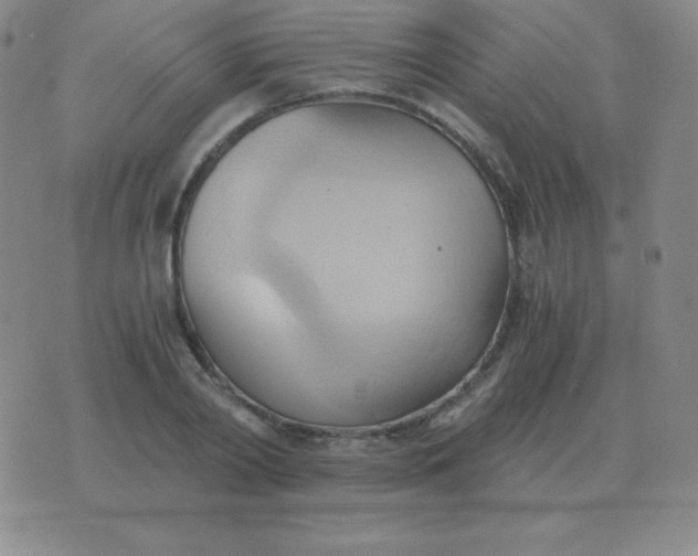 X0000076230790200610122113