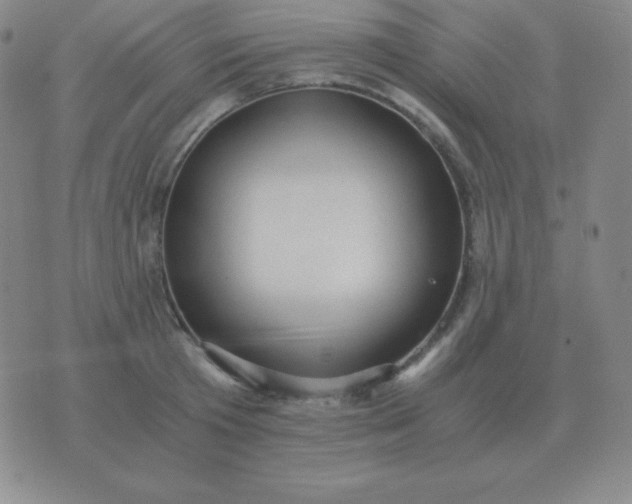 X0000076230801200610122113