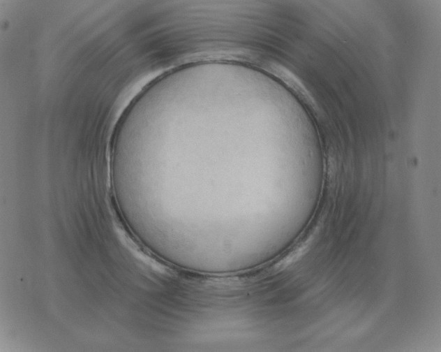 X0000076230844200610122113