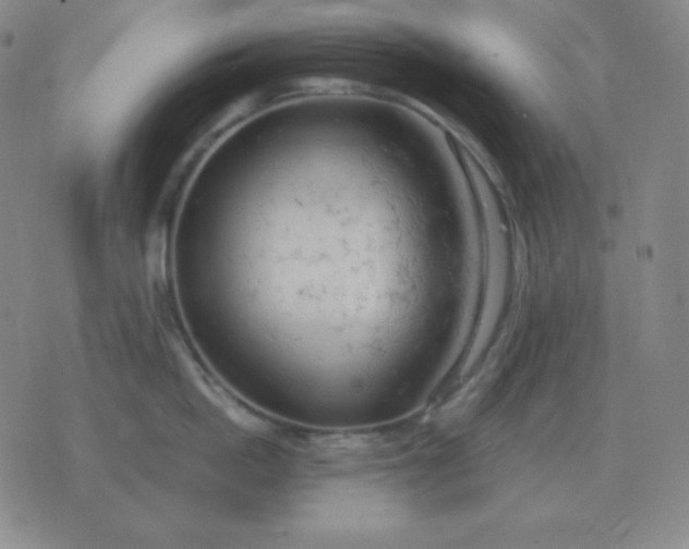 X0000076230862200610122113