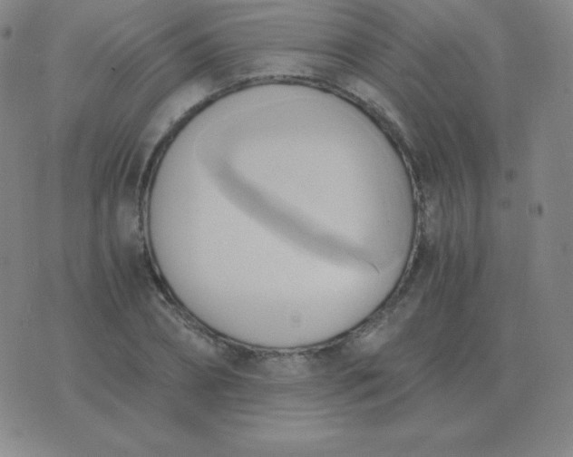 X0000076230882200610122112