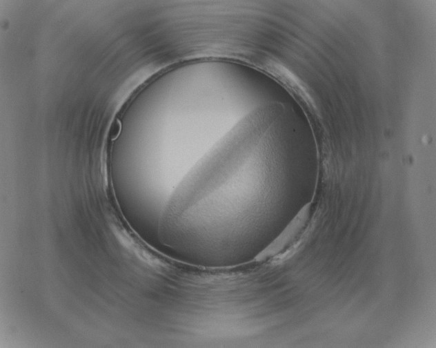 X0000076230892200610122112