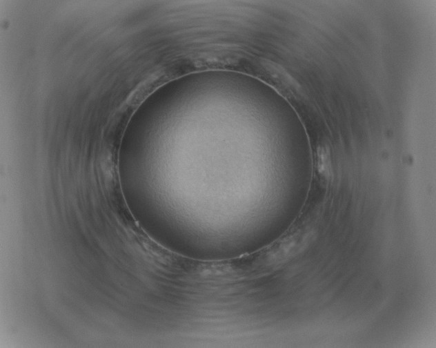 X0000076230915200610122111