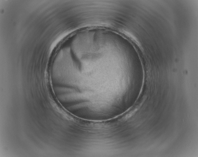 X0000076230928200610122111