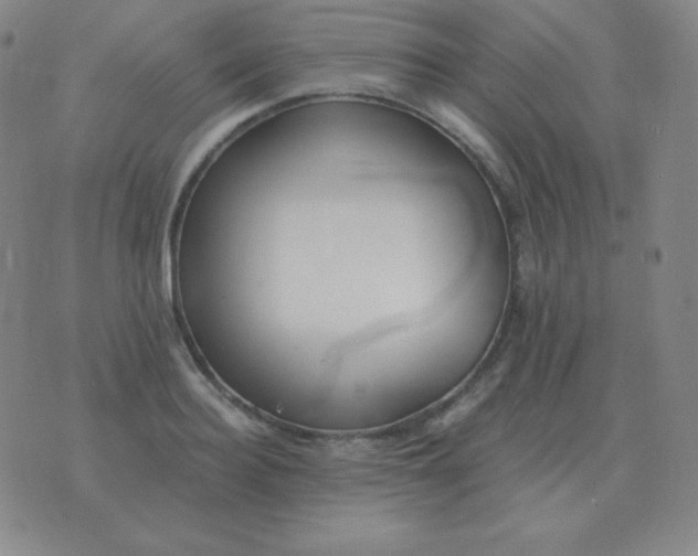 X0000076230940200610122111