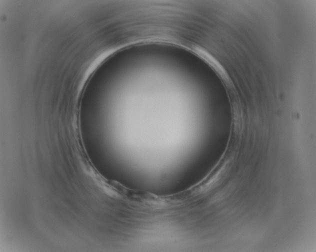 X0000076230956200610122111