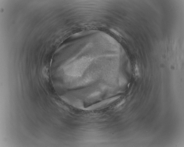 X0000076231010200610122109