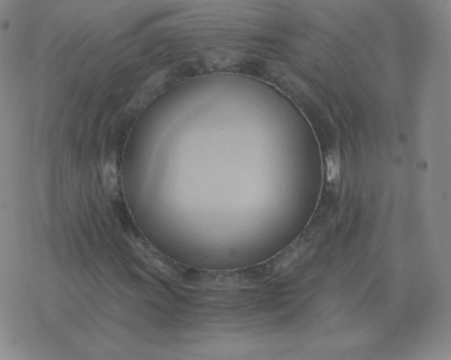 X0000076231011200610122109