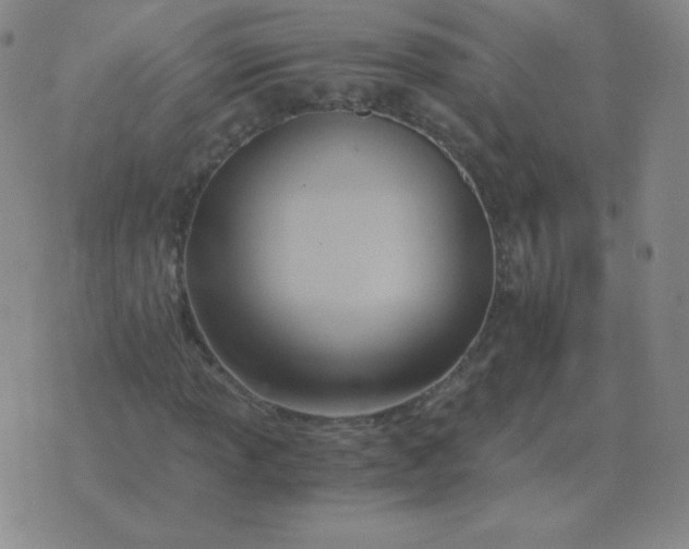 X0000076231013200610122109