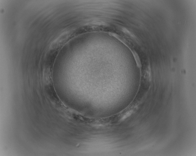 X0000076231014200610122109