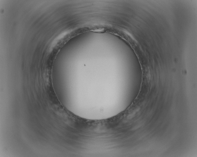 X0000076231016200610122109