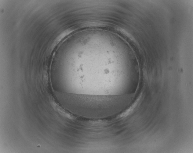 X0000076231025200610122109