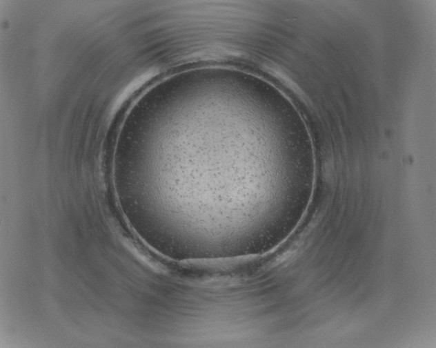 X0000076231026200610122109