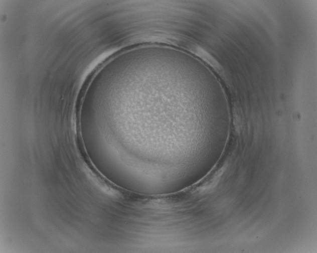 X0000076231028200610122109