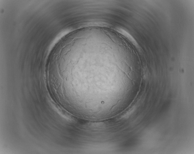 X0000076231043200610122110