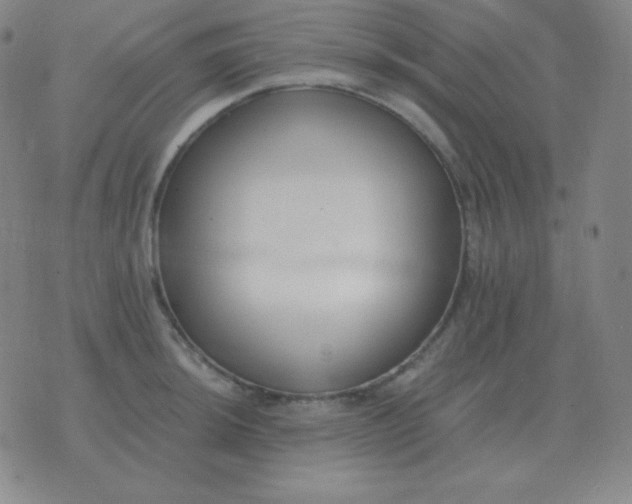 X0000076231044200610122110