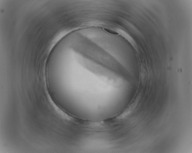 X0000076231055200610122110