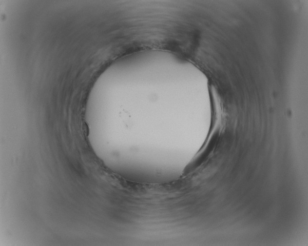 X0000076231057200610122109