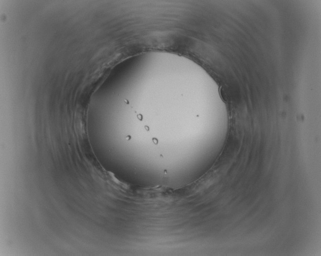 X0000076231058200610122109