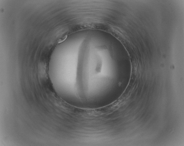 X0000076231060200610122109