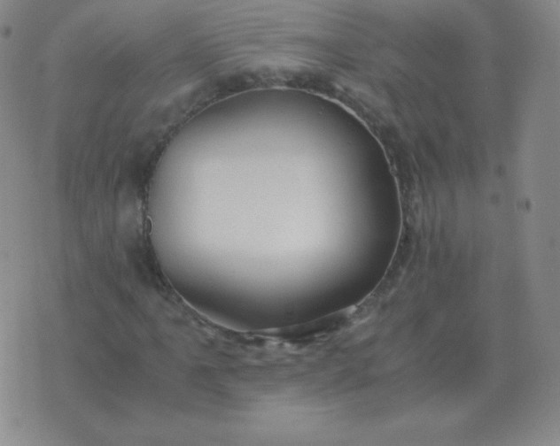 X0000076231061200610122109