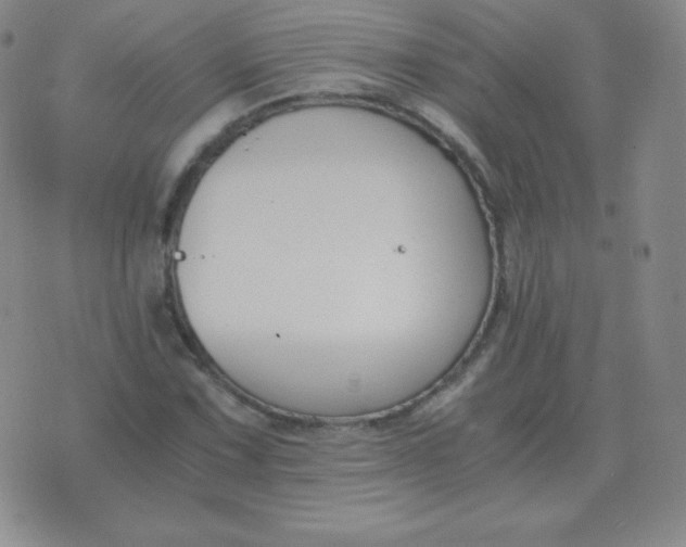 X0000076231067200610122109