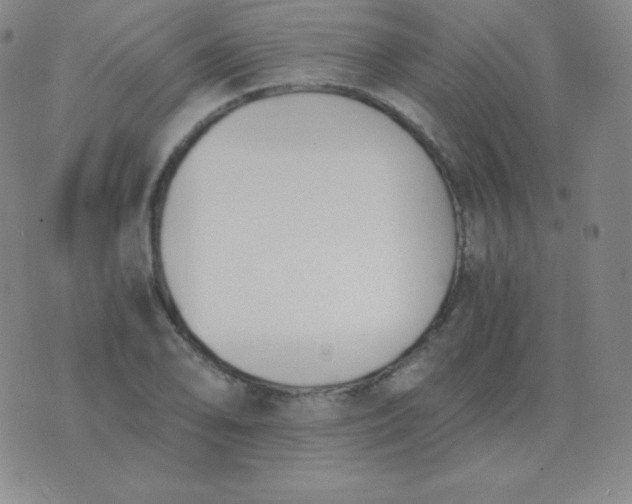 X0000076231078200610122109