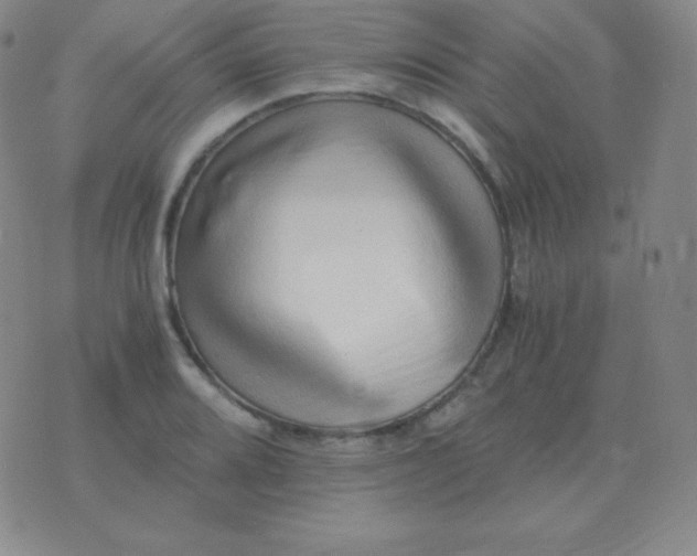 X0000076231080200610122109