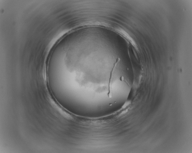 X0000076231084200610122109