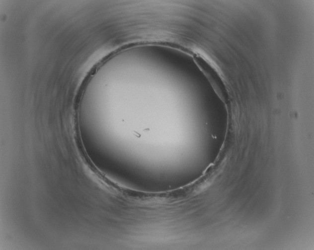 X0000076231085200610122109