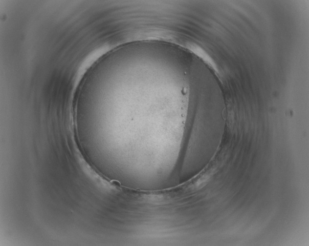 X0000076231088200610122109