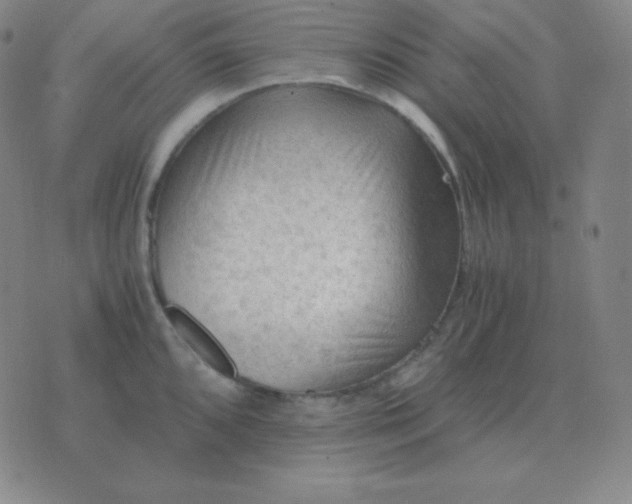 X0000076231096200610122109