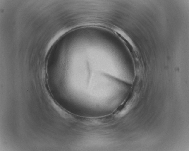 X0000076231101200610122108