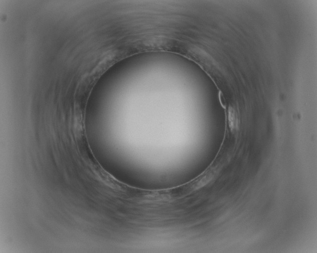 X0000076231107200610122108