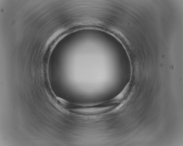 X0000076231114200610122108