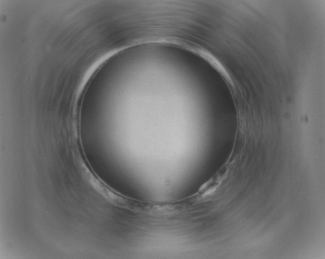 X0000076231148200610122108