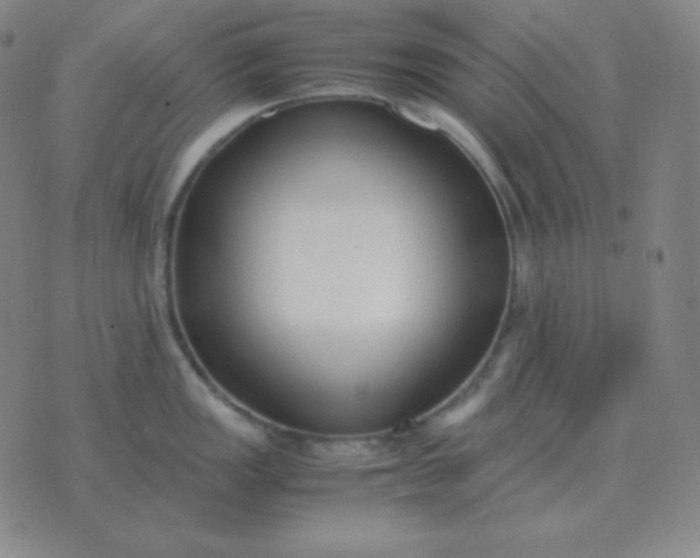 X0000076231149200610122108