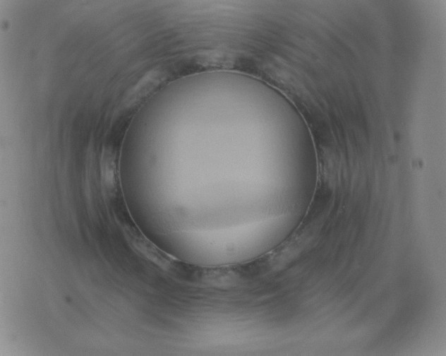 X0000076231154200610122108